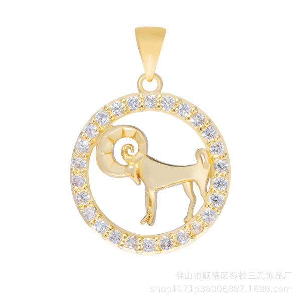 Pisces pendant necklace, 12 constellation pendant necklace men and women birthday jewelry accessories - 图片 11