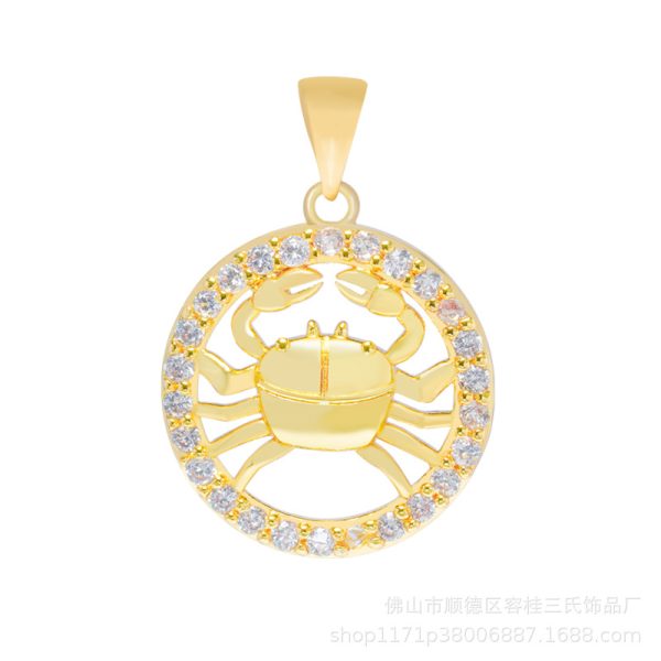 Pisces pendant necklace, 12 constellation pendant necklace men and women birthday jewelry accessories - 图片 9