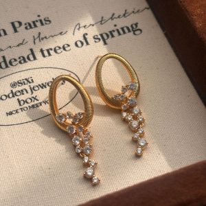Brushed tassel earrings Micro-inlaid zircon tassel earrings